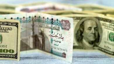 أسعار الدولار والعملات الأجنبية اليوم الاثنين 7-7-2025 .. فيديو