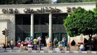 أسعار تذاكر حديقة الحيوان 2025 بعد التطوير