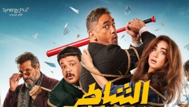 إيرادات السينما المصرية..أمير كرارة يزيح السقا من القمة ويتصدر بـ الشاطر