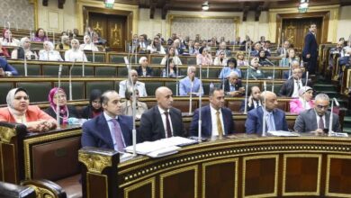 "الرقاصة تيجي تتشهر والعالم يسافر بره".. عبارة خارجة وأزمة بجلسة البرلمان