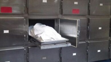 العثور على جثة متحللة لشخص بإحدى قرى الدقهلية