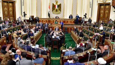النواب يوافق على استقالة النائبة أميرة صابر لخوض انتخابات مجلس الشيوخ