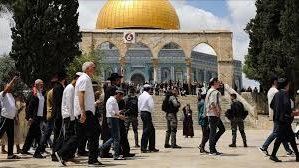 انتهاك جديد لقدسية الأقصى.. المستوطنون يقتحمون الباحات تحت حماية الاحتلال| تقرير