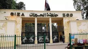 بعد الإعلان عن موعد افتتاحها رسميا.. مفاجآت فى تطوير حديقة الحيوان