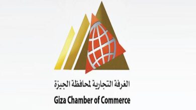 تشكيل المجلس الاقتصادي لسيدات الأعمال بالجيزة برئاسة عفاف أحمد