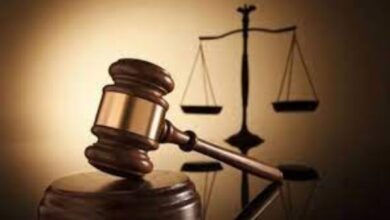 حبس سائق سيارة ربع نقل صدم شخصا بطريق الاسكندرية