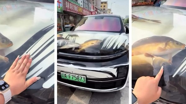 رجل يحول غطاء محرك سيارته إلى حوض أسماك ويحنطها بداخله