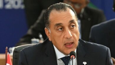 رسائل مصرية في البريكس ..أبرزها وصف الحرب الإسرائيلية على الأبرياء بـ أخطر أزمة