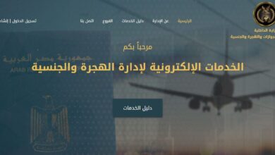 للأجانب أبناء الأم المصرية.. الأوراق المطلوبة لاكتساب الجنسية