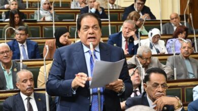 مصر بها 39 خاما من الثروة المعدنية