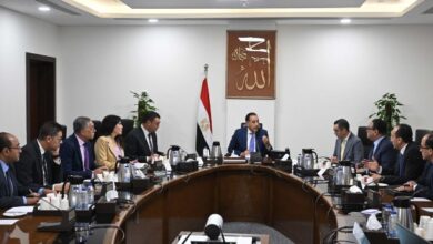 "معلومات الوزراء" يستعرض التوقعات الدولية لأسواق السلع الزراعية والأسماك