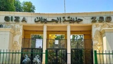 موعد افتتاح حديقة الحيوان رسمياً.. سعر التذكرة كام؟