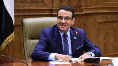 وعي المصريين خط الدفاع الأول والأخير في وجه اختراق الداخل المصري